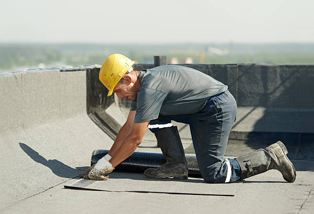 Best Cellulose Insulation in Lemont, IL
